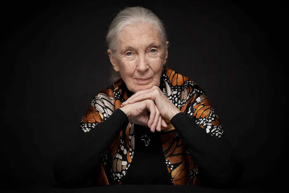 Iconic Primatologist Jane Goodall Passes Away at 91