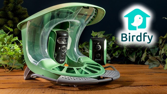 Birdfy Feeder 2 Duo Review: Triple-Angle Views for Serious Birdwatchers