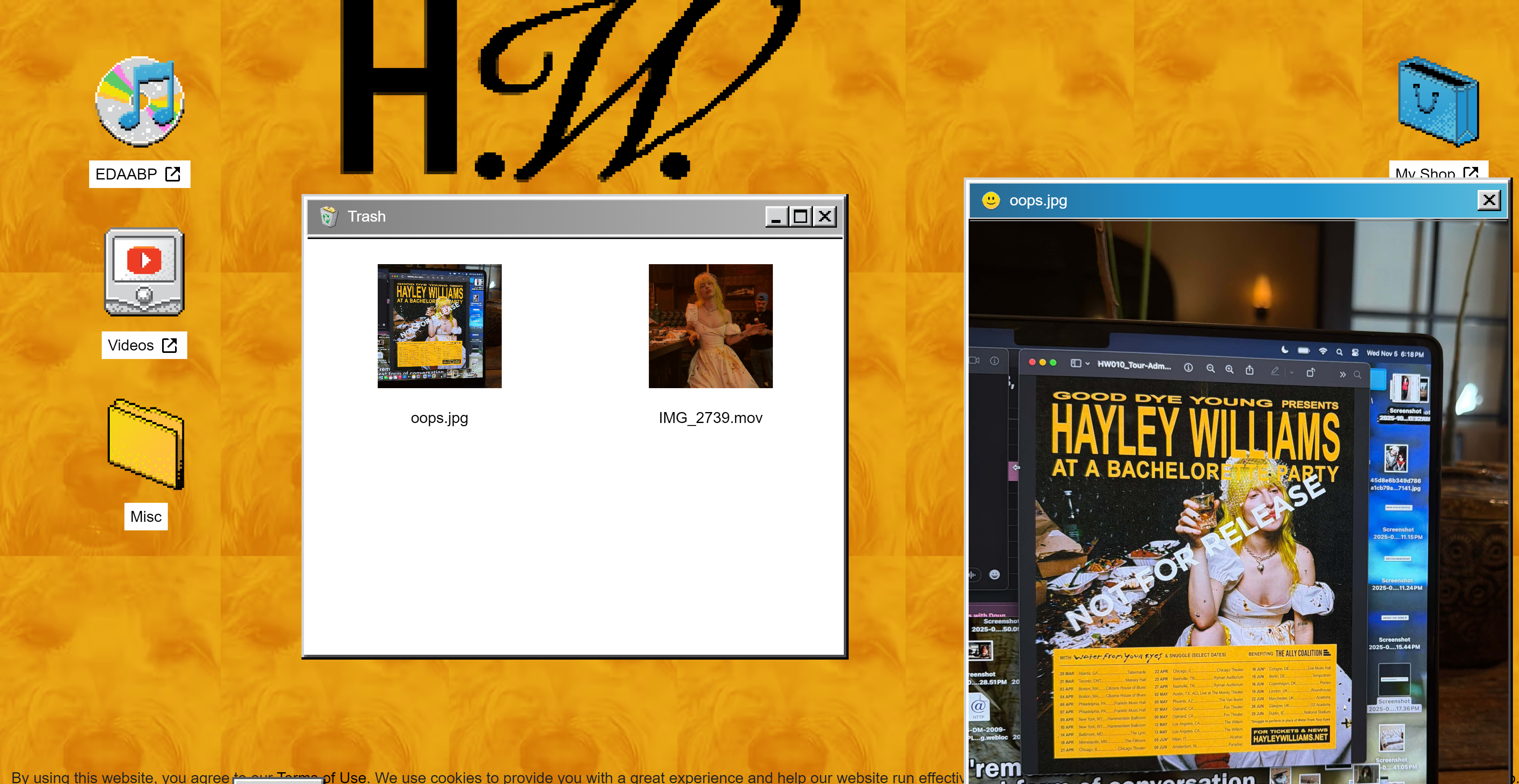 Hayley Williams Announces First Solo Tour Following “Showbiz” Release
